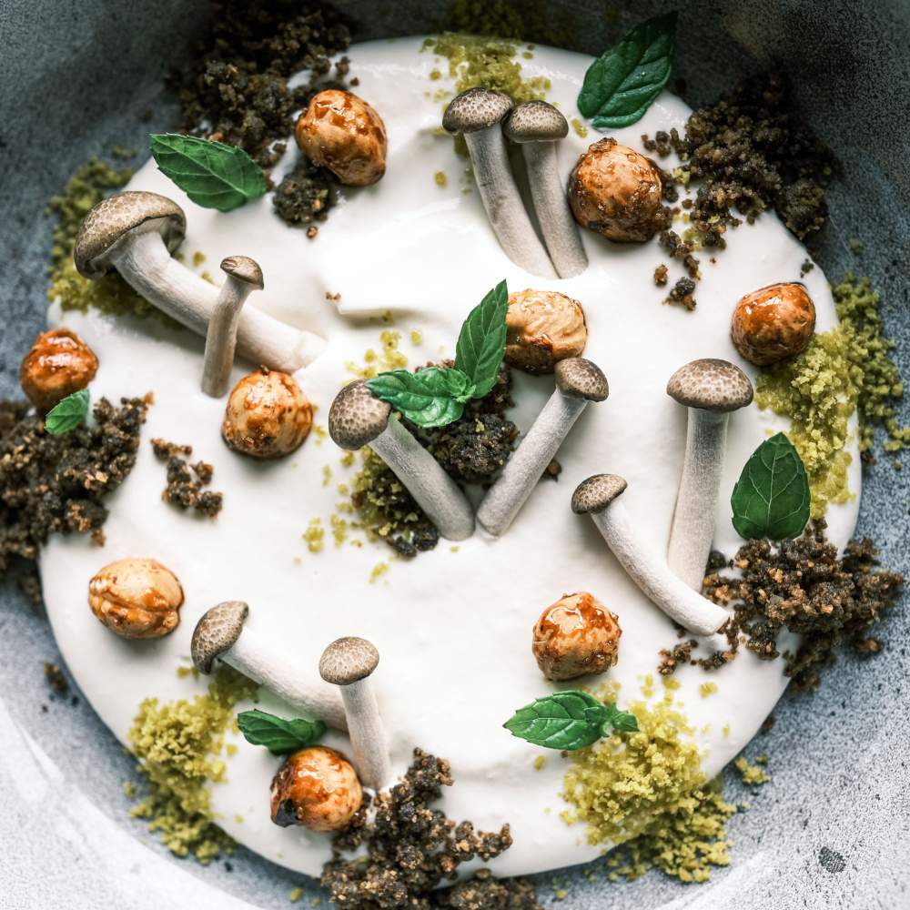 Hotel Restaurant Spa Alsace · Hôtel du Bollenberg