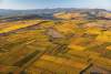 Hôtel Restaurant Route des Vins en Alsace · Hôtel du Bollenberg