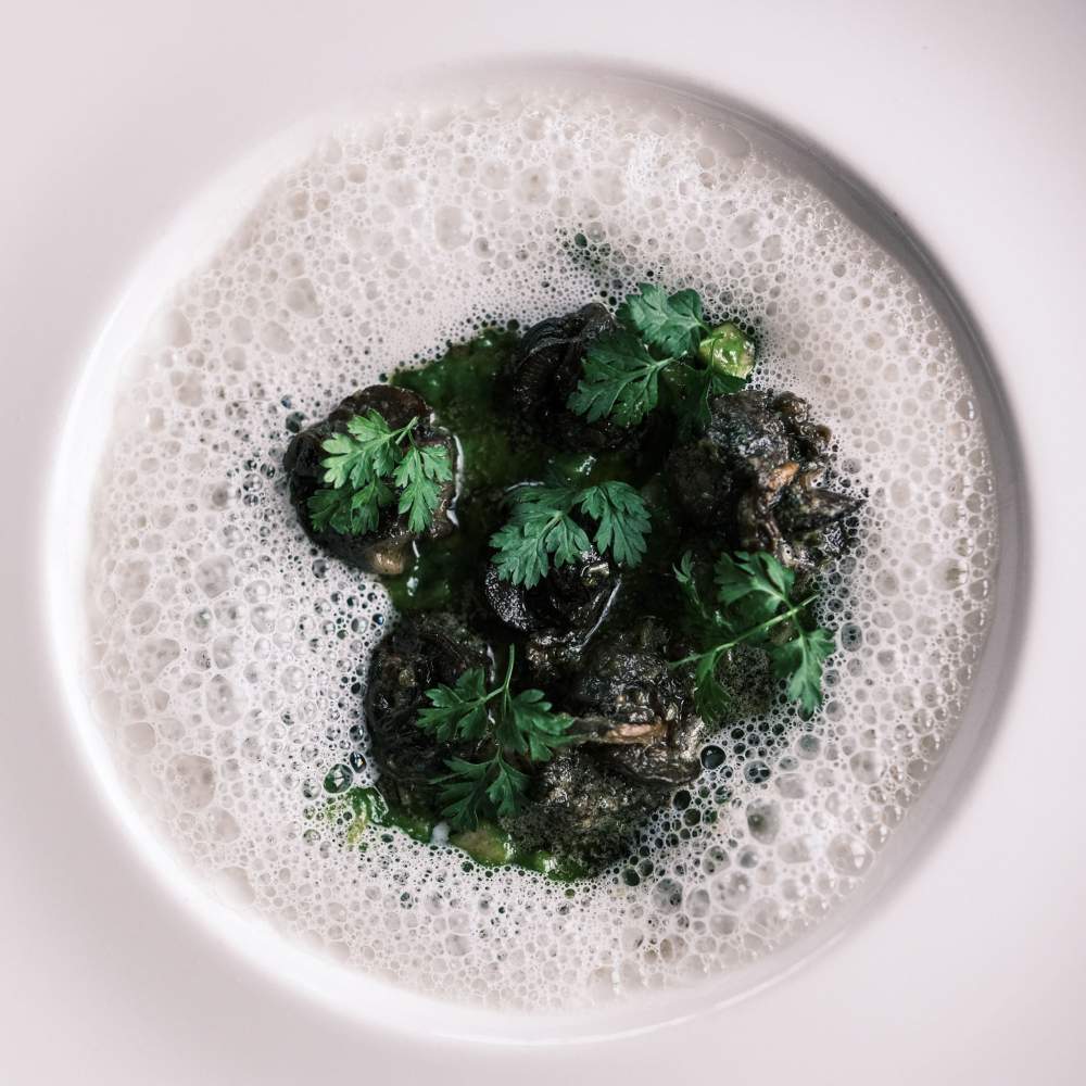 Hotel Restaurant Spa Alsace · Hôtel du Bollenberg