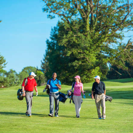 Golf links Rouffach