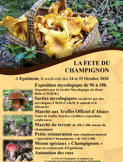 fête du champignon