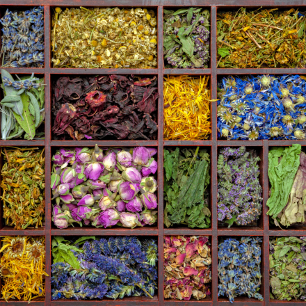 jardins de gaia au bollenberg