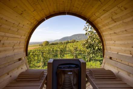 hotel spa, le bollenberg en alsace, haut-rhin