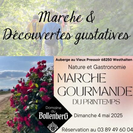 marche gourmande Bollenberg