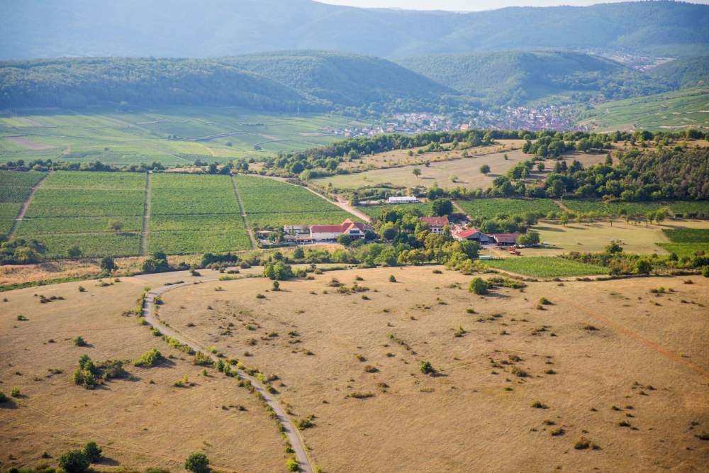 hotel restaurant spa en alsace, haut-rhin, le bollenberg