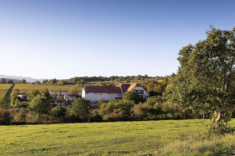 hotel restaurant spa en alsace, haut-rhin, le bollenberg