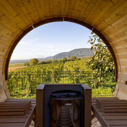 offre speciale spa rentrée hotel du bollenberg