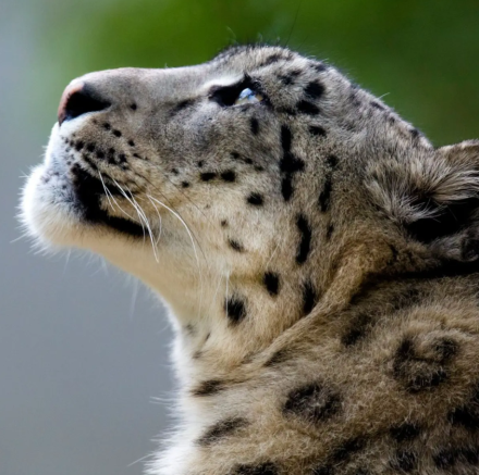 zoo